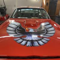 car decal